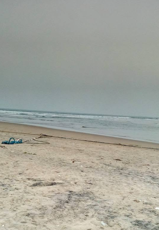 A Quiet Shore