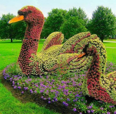 A Garden Path