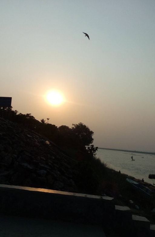 Sunset by the River
